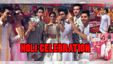 Naagin Season 4 Written Episode Update 8th March 2020: Holi Celebration Drama