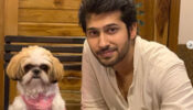 Namish Taneja bakes a cake for his dog