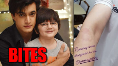 OMG! Tanmay Rishi bites Mohsin Khan