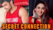 Parth Samthaan and Erica Fernandes have a SECRET CONNECTION:  Full Details REVEALED
