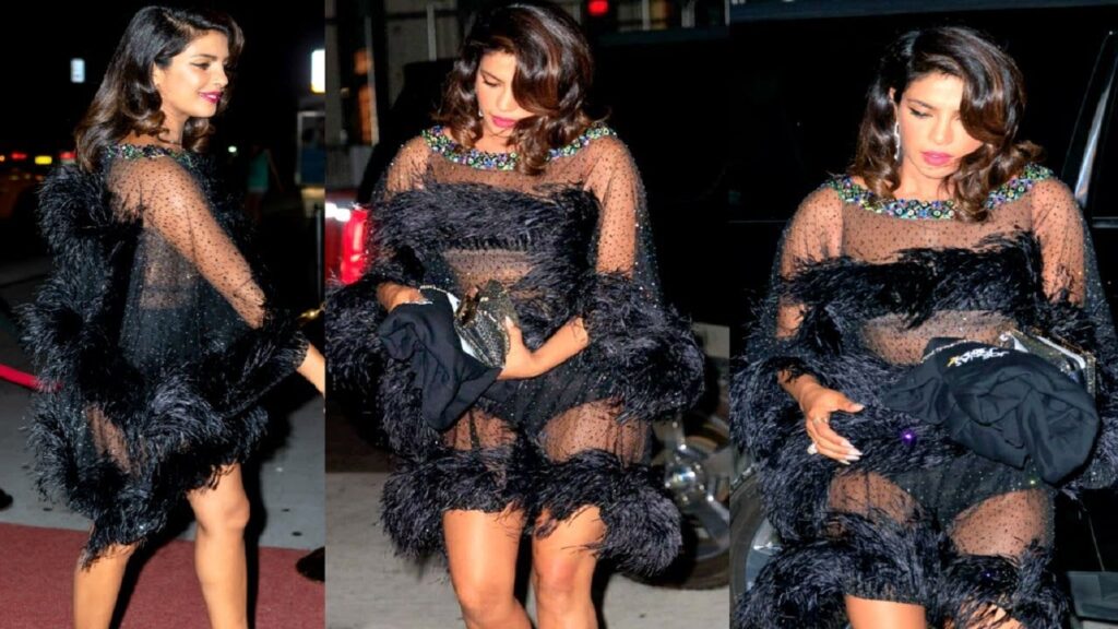 Priyanka Chopra’s Most Awkward Moments In Uncomfortable Outfits - 2