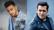 Salman Khan’s attempt after attempt to make brother-in-law Ayush a superstar