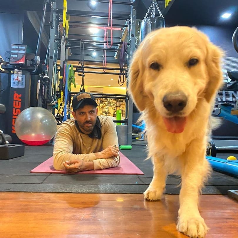 Self Quarantine with your favourite pets dogs: How Priyanka-Nick, Hrithik Roshan & Samantha Akkineni are spending their self-isolation - 1