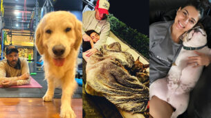 Self Quarantine with your favourite pets dogs: How Priyanka-Nick, Hrithik Roshan & Samantha Akkineni are spending their self-isolation