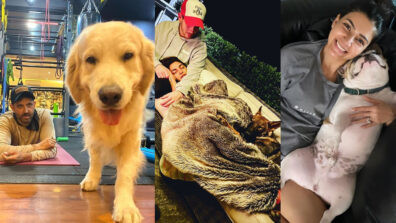 Self Quarantine with your favourite pets dogs: How Priyanka-Nick, Hrithik Roshan & Samantha Akkineni are spending their self-isolation