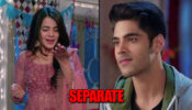 Shakti Astitva Ke Ehsaas Ki: Heer and Virat to SEPARATE?