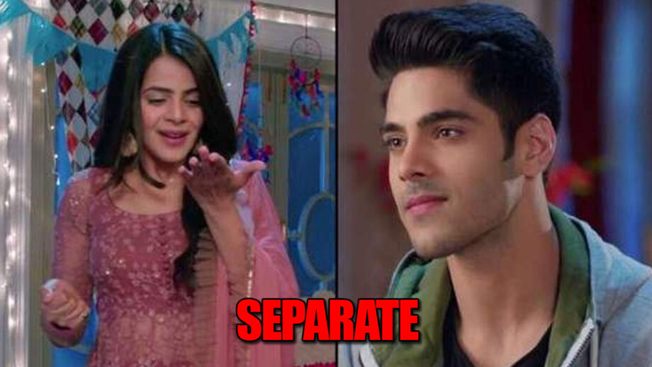 Shakti Astitva Ke Ehsaas Ki: Heer and Virat to SEPARATE?