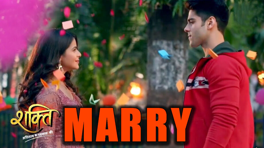 Shakti Astitva Ke Ehsaas Ki: Virat and Heer MARRY