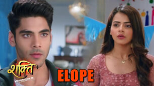 Shakti Astiva Ke Ehsaas Ki: Virat and Heer to ELOPE