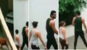 Ranbir Kapoor-Alia Bhatt spotted strolling together, are they living in?