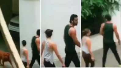 Ranbir Kapoor-Alia Bhatt spotted strolling together, are they living in?