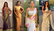 Sriti Jha, Anita Hassanandani, Nia Sharma, Surbhi Jyoti: Who Carried Designer Saree Better?  