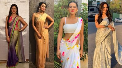 Sriti Jha, Anita Hassanandani, Nia Sharma, Surbhi Jyoti: Who Carried Designer Saree Better?  