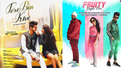 Tere Bin Kive Vs Fruity Lagdi Hai: Which Is Best Jannat Zubair & Faisu Song?