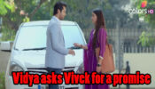 Vidya Written Episode Update 18th March 2020: Vidya asks Vivek for a promise