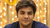 Whenever I try dieting Vs The frustrated Indian driver: Which is your best Ashish Chanchlani’s pick?
