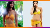 Alia Bhatt Vs Disha Patani: Who carries an itsy bitsy teeny weeny yellow best?