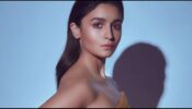 Alia Bhatt’s Fashion Fusion Style Never Fails to Stun