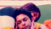 Alleged Love Story Of Bigg Boss Contestants Sidharth Shukla And Shehnaaz Gill