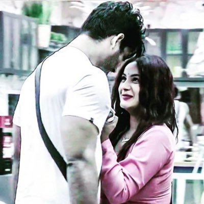 Alleged Love Story Of Bigg Boss Contestants Sidharth Shukla And Shehnaaz Gill - 3