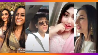 Anita Hassanandani, Nia Sharma, Reem Shaikh, Divyanka Tripathi: TV Celebs and Their Tiktok Debut