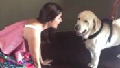 Anushka Sharma sings Ae Dil Hai Mushkil’s song Bulleya for her dog is adorable, check video