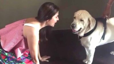 Anushka Sharma sings Ae Dil Hai Mushkil’s song Bulleya for her dog is adorable, check video