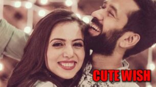 Aww! Husband Nakuul Mehta’s adorable wish for wifey Jankee