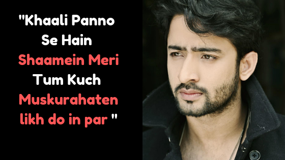 Best Shayaris Of Shaheer Sheikh From Yeh Rishtey Hain Pyaar Ke - 5