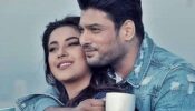 Bigg Boss 13 fame Sidharth Shukla and Shehnaaz Gill’s cute picture