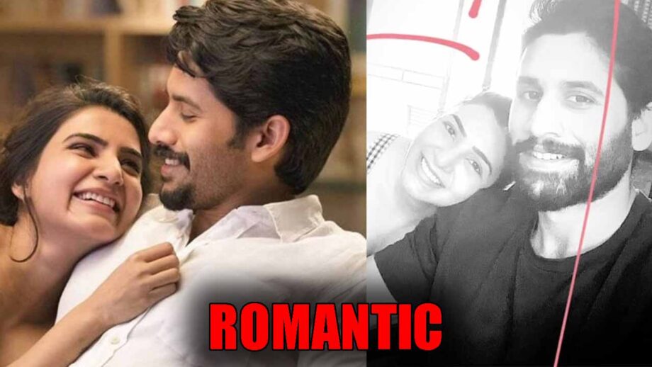 CAPTURED! Samantha Akkineni and Naga Chaitanya's ROMANTIC moment