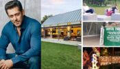 Check out: Salman Khan’s Panvel farmhouse INSIDE pictures