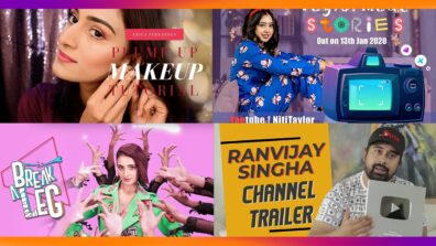 Erica Fernandes, Niti Taylor, Shakti Mohan, Rannvijay Singh: TV Celebs and Their Youtube Channel