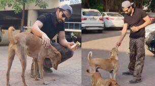 Here is what Kundali Bhagya actor Manit Joura doing for stray dogs during this COVID-19 Lockdown