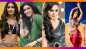Hina Khan, Kishwar Merchant, Rashmi Desai, Sayantani Ghosh: Television on-screen Vamps that we loved to hate