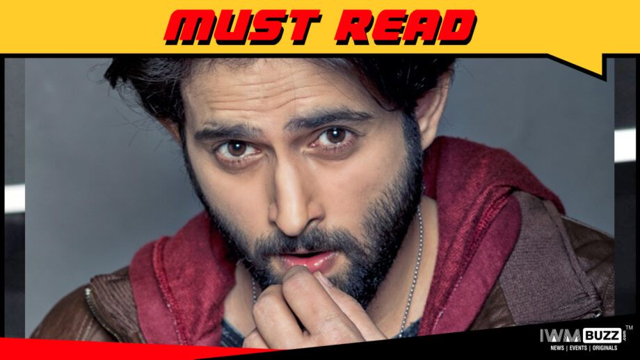It's sad that Ishaaron Ishaaron Ishaaron Mein had to end abruptly:  Mudit Nayyar