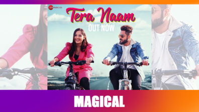 Jannat Zubair looks ‘magical’ in Tere Naam