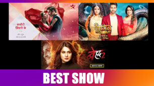 Kasautii Zindagii Kay or Naagin 4 or Beyhadh 2: The show you are hooked to