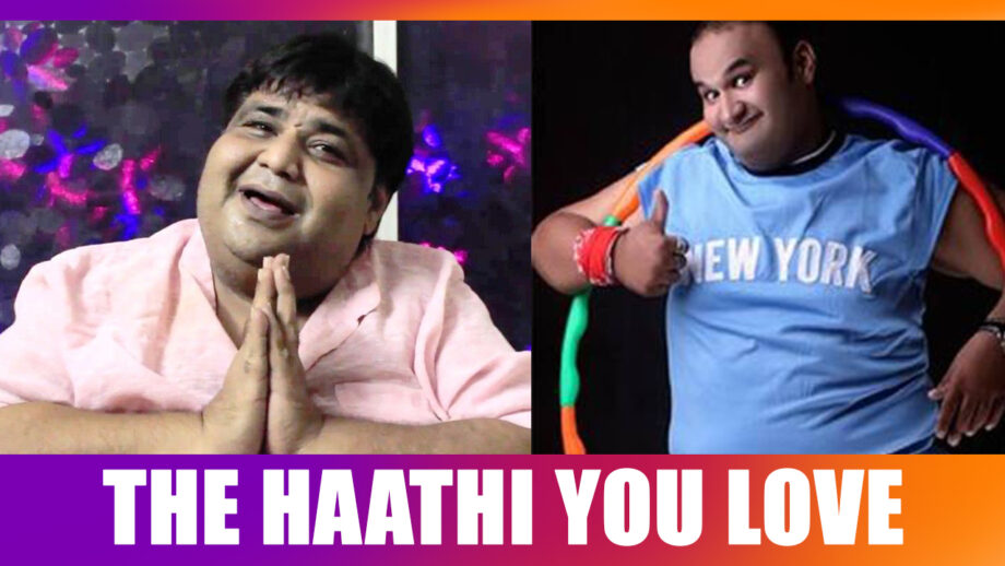 Kavi Kumar Azad Vs Nirmal Soni: Which is your favourite Haathi Bhai character from Taarak Mehta Ka Ooltah Chashmah?