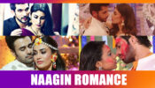 Mesmerizing Romance in Naagin: From Ritik-Shivanya to Dev-Brinda 10