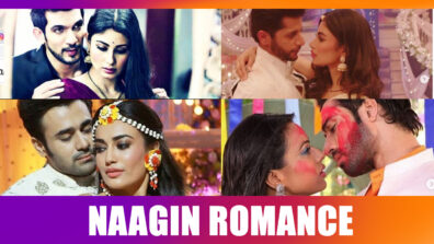 Mesmerizing Romance in Naagin: From Ritik-Shivanya to Dev-Brinda