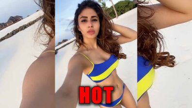 Mouni Roy flaunts her perfect curves in a bikini