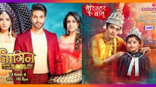 Naagin 4 Vs Barrister Babu: Which show is continuing to impress the audience with an amazing storyline?