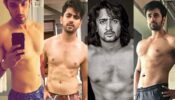 Parth Samthaan, Zain Imam, Shaheer Sheikh, Pearl V Puri: Actors and their HOT shirtless pictures