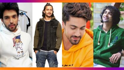 Parth Samthaan, Shaheer Sheikh, Zain Imam, Sumedh Mudgalkar: Who Wore Hoodie Better?