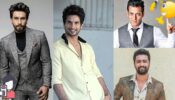 Ranveer Singh, Shahid Kapoor, Salman Khan, Vicky Kaushal’s BIGGEST Fan Moments