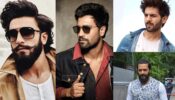 Ranveer Singh, Vicky Kaushal, Kartik Aryan, Riteish Deshmukh: Bollywood Actors Who Have Inspired Beard Styles