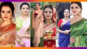 7 Saree Looks of Shrenu Parikh That Are Super Stylish And Elegant!