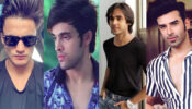Take Tips From Asim Riaz, Parth Samthaan, Paras Chhabra, Randeep Rai To Choose You Right Hairstyle!