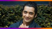The handsome TV’s Krishna Sumedh Mudgalkar’s journey to the top